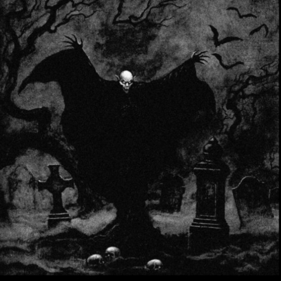 Meet your Posher, Addison - Picture 1 of 1